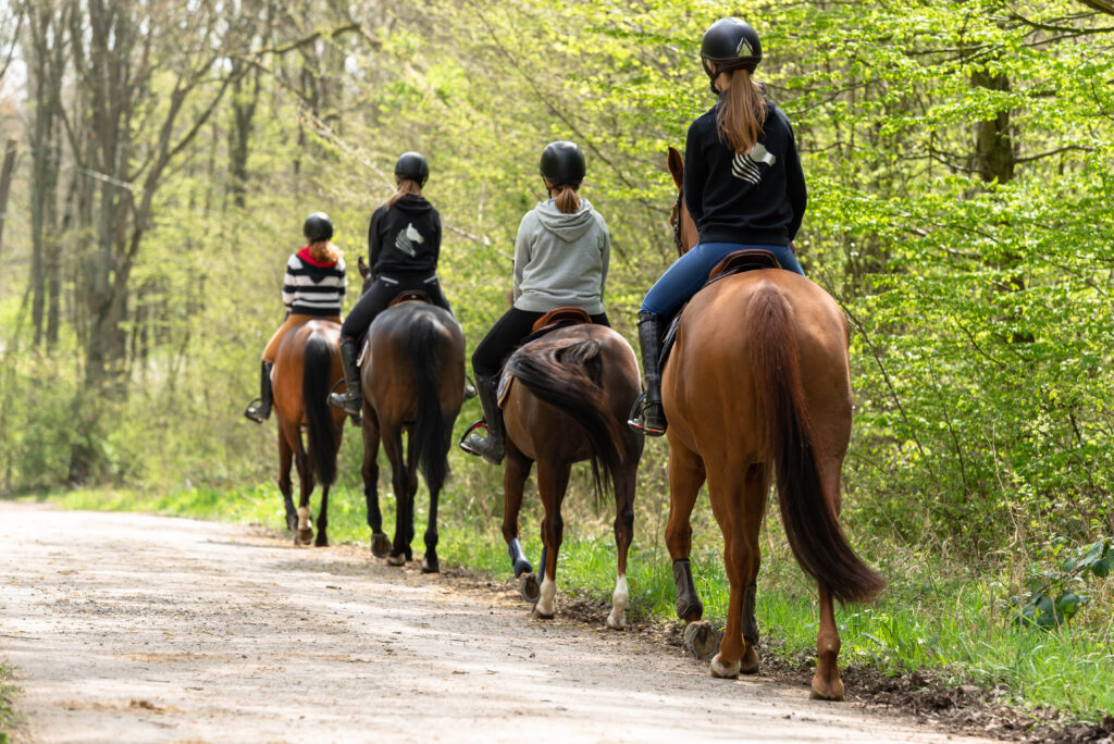 Forêt de Clairmarais Cavaliers Equestre 2018 CLAIMARAIS © Jessy Hochart Tourisme en Pays de Saint-Omer