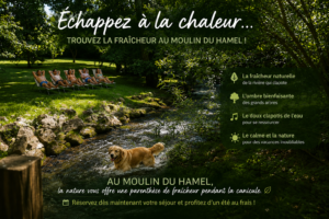 la fraicheur au moulin